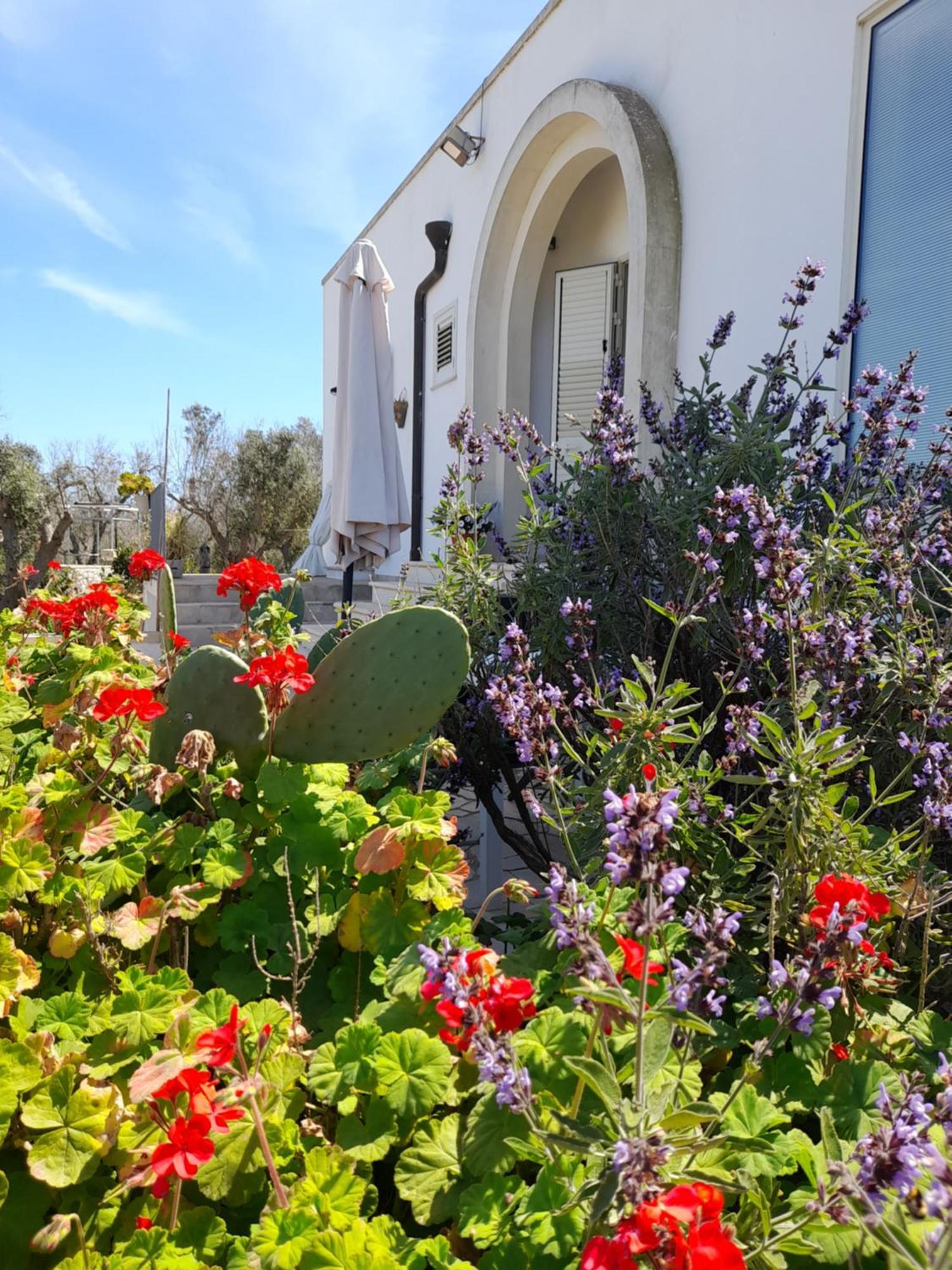 Tenuta Valle Dell Idro Otranto Con Piscina Casamassella Luaran gambar