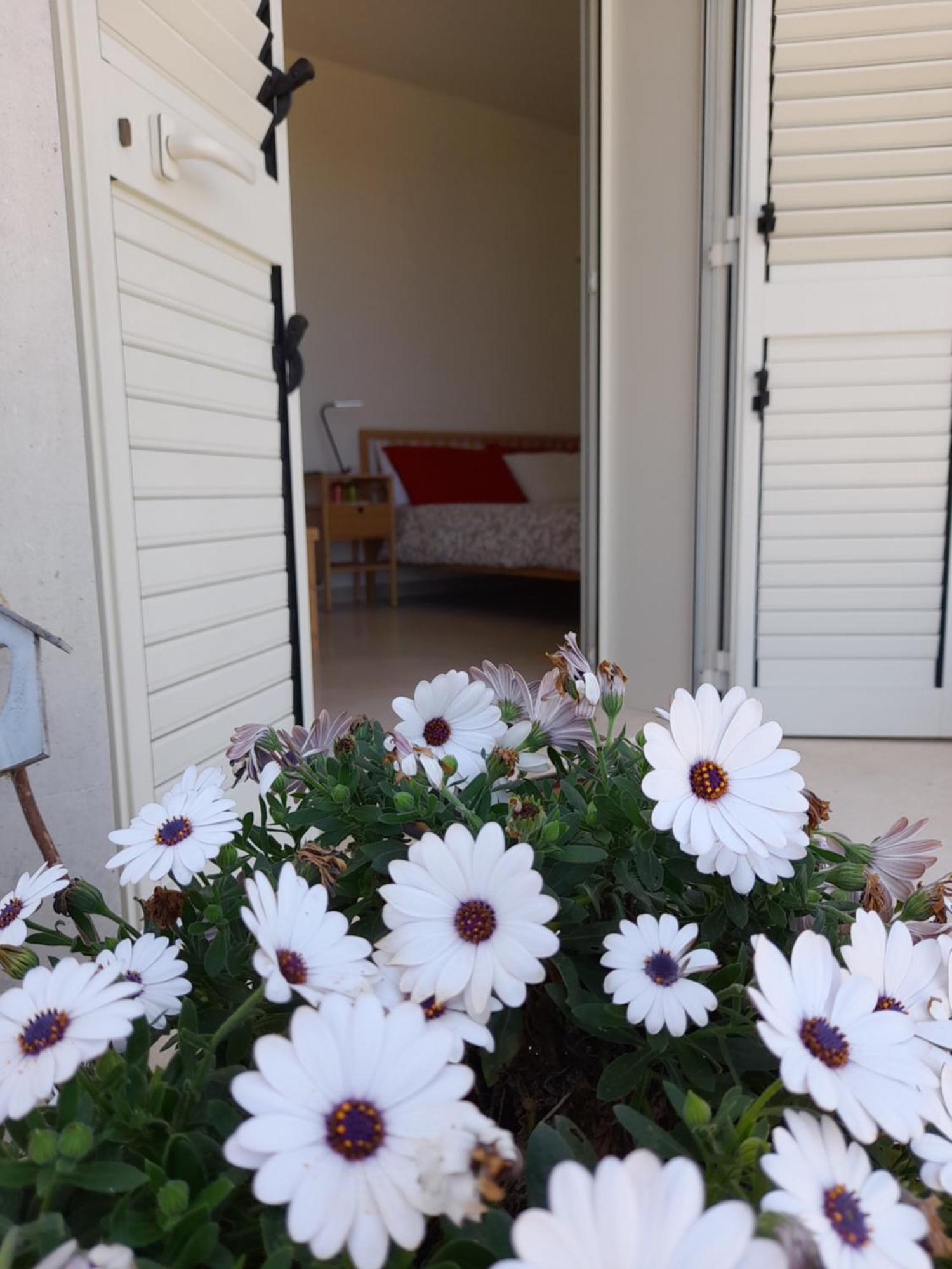Tenuta Valle Dell Idro Otranto Con Piscina Casamassella Luaran gambar
